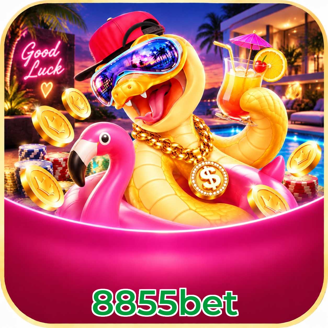 FAQ Baixar 8855bet