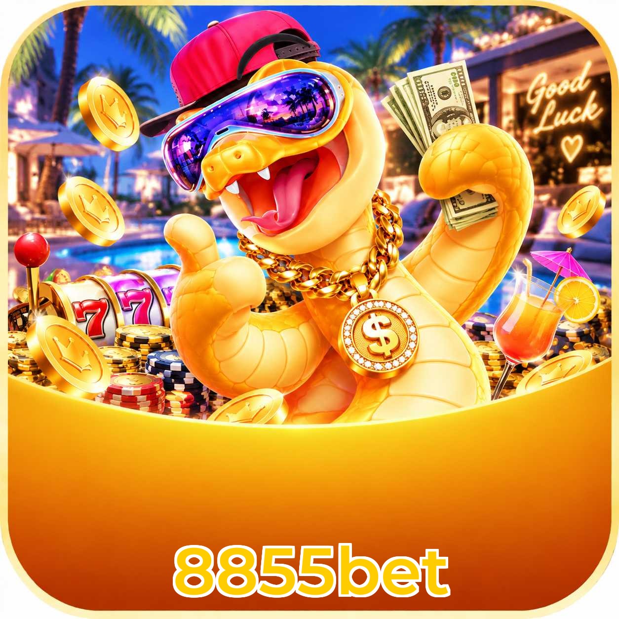 8855bet Top Wins